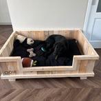 Hondenmand van hout. Groot, klein, div modellen. Gratis naam, Ophalen of Verzenden, Nieuw, Overige