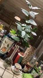 Vintage vaas met mandarijntak, glazen bolvaas smal hoog, Huis en Inrichting, Woonaccessoires | Vazen, Overige materialen, Gebruikt