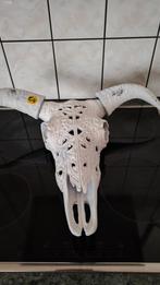 Stenen (gips) kop, Ophalen