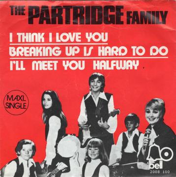 THE PARTRIDGE FAMILY  -  I think I love you beschikbaar voor biedingen