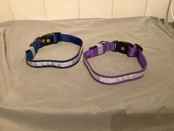 LED hondenhalsband, licht halsband beschikbaar voor biedingen