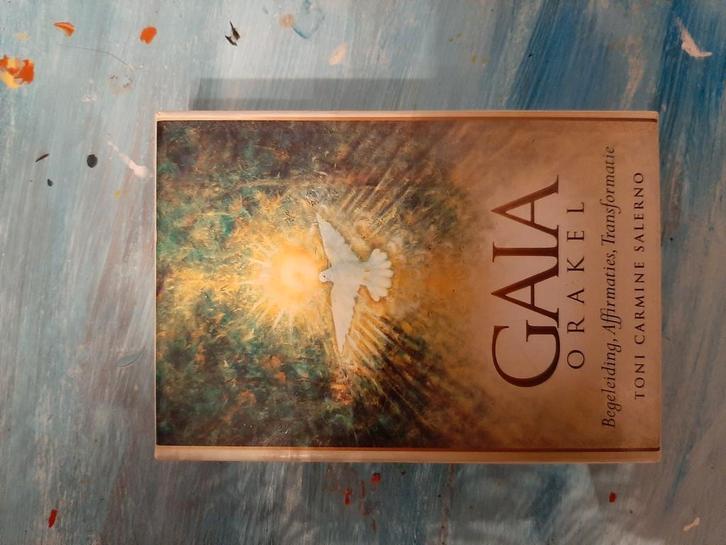 Toni Carmine Salerno - Handleiding, Boeken, Esoterie en Spiritualiteit, Zo goed als nieuw, Overige typen, Tarot of Kaarten leggen