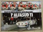 Grote poster Alfa Romeo Alfasud Rally Monte Carlo 1983, Auto's, Ophalen of Verzenden, Zo goed als nieuw