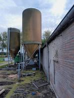 silo, Meerdere dieren, Schaap