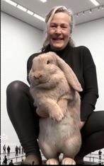 Raszuivere Franse hangoor konijnen, Dieren en Toebehoren, Konijnen, Meerdere dieren, Groot, Hangoor