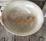 Oude schaal/beboterde schaal/beboterd, Ophalen of Verzenden