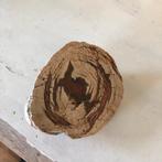 Versteend hout – lengte 10 cm | Uniek natuursteen fossiel, Ophalen, Fossiel