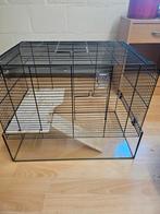 2 hamsterkooien+ spullen, eten, hooi., Minder dan 60 cm, Kooi, Gebruikt, Minder dan 75 cm