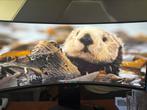 LG UltraGear 34GS95QE-B.AEU - 34 inch - 3440 x 1440 OLED, Ophalen, IPS, Zo goed als nieuw, 151 t/m 200 Hz