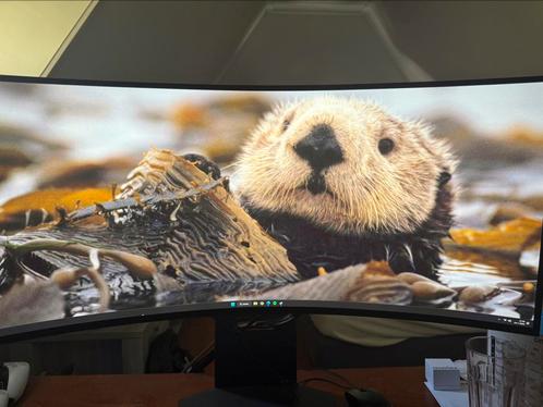 LG UltraGear 34GS95QE-B.AEU - 34 inch - 3440 x 1440 OLED, Computers en Software, Monitoren, Zo goed als nieuw, 151 t/m 200 Hz
