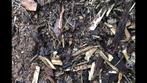hout schors houtsnipers voor de tuin, Ophalen, Boomschors