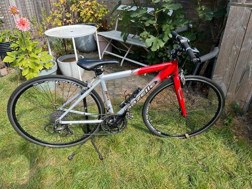 Gazelle Racefiets met Recht Stuur, Fietsen en Brommers, Fietsen | Racefietsen, Gebruikt, Dames, Gazelle, 10 tot 15 versnellingen