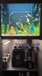 Juwel lido 120, Dieren en Toebehoren, Vissen | Aquaria en Toebehoren, Ophalen of Verzenden, Zo goed als nieuw, Gevuld zoetwateraquarium