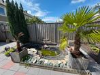 Complete vijver met filter, Tuin en Terras, Ophalen of Verzenden