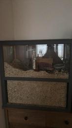 Woenstijn ratten/gerbils, Ophalen of Verzenden, Zo goed als nieuw, Kooi, Minder dan 60 cm