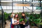 Goedkope planten, Ophalen, Overige soorten, Minder dan 100 cm
