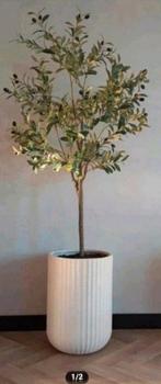 Prachtige grote kunst olijfboom, Huis en Inrichting, Woonaccessoires | Zuilen en Pilaren, Ophalen of Verzenden, Nieuw