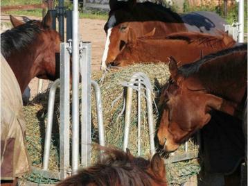 Voerruif, Hooiruif, Ruif, Ruiven, Voeren, Paard, Rundvee beschikbaar voor biedingen