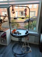 Montana Playstand voor papegaaien, Ophalen, Gebruikt, Overige typen