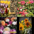 Diverse bloemzaden en groente zaden, Tuin en Terras, Bloembollen en Zaden, Ophalen of Verzenden