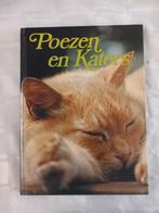 Poezen en katers, Ophalen of Verzenden, Zo goed als nieuw, Katten