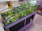 Planten bak aquarium, Dieren en Toebehoren, Vissen | Aquaria en Toebehoren, Ophalen, Zo goed als nieuw, Gevuld zoetwateraquarium