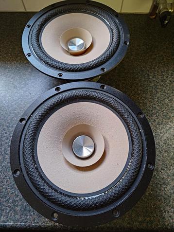 Tangband W8-2145 full range drivers beschikbaar voor biedingen