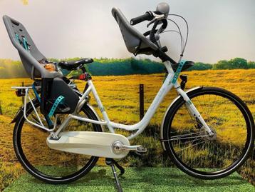 Gazelle Bloom beschikbaar voor biedingen