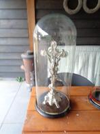 Grote glazen stolp op houten basement (60 cm hoog)., Ophalen