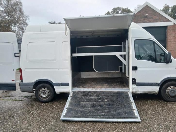 Horsetruck, Auto's, Bestelauto's, Particulier, Renault, Diesel, Euro 3, Handgeschakeld, Origineel Nederlands, Wit, Voorwielaandrijving