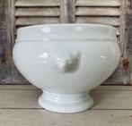 Franse witte uiensoep terrine leeuwenkopjes Tradition CNP, Ophalen of Verzenden