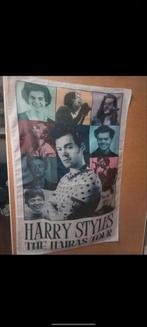 Harry styles vlag, Verzamelen, Posters, Ophalen of Verzenden, Zo goed als nieuw