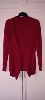 Silvian Heach vest maat S zgan, Kleding | Dames, Ophalen of Verzenden, Zo goed als nieuw, Silvian Heach, Maat 36 (S)