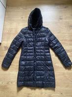 ***Hema*** damesjas – gewatteerd, zwart, maat S, Zwart, Ophalen of Verzenden, Zo goed als nieuw, Maat 36 (S)