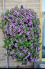 Tuinhulp, Ophalen, Overige soorten