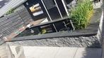 Vijver met Koi Karpers, Tuin en Terras, Ophalen, Zo goed als nieuw