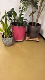 Diverse bloempotten, Rond, Zo goed als nieuw, Minder dan 40 cm, Aardewerk