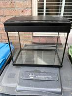 Gratis aquarium, Dieren en Toebehoren, Vissen | Aquaria en Toebehoren, Ophalen, Zo goed als nieuw, Leeg aquarium