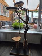 Leuke zelfgemaakte krabpaal, Dieren en Toebehoren, Katten-accessoires, Ophalen
