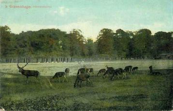 (301-104-051) Den Haag Hertenkamp beschikbaar voor biedingen