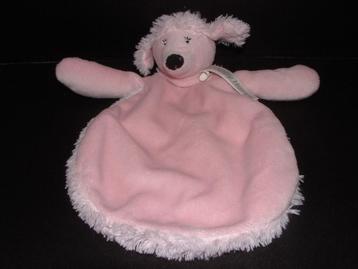 HAPPY HORSE HOND POODLE PEARL TUTTLE POEDEL  beschikbaar voor biedingen