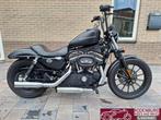 Harley Davidson XL IRON 883N Sportster Iron Origineel NL, Motoren, Motoren | Harley-Davidson, Chopper, Bedrijf, 883 cc, Meer dan 35 kW