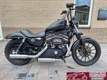 Harley Davidson XL IRON 883N Sportster Iron Origineel NL beschikbaar voor biedingen
