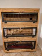 Cavia flat met toebehoren., Dieren en Toebehoren, Knaagdieren en Konijnen | Hokken en Kooien, Ophalen, 90 cm of meer, Hok, Cavia