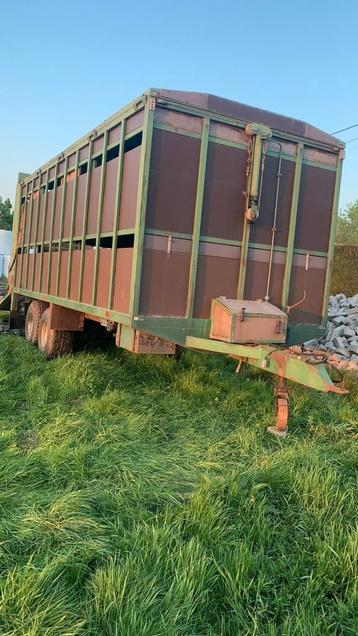 Veekar schapen beschikbaar voor biedingen