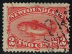 Y767 Newfoundland 37 gestempeld Dieren, Postzegels en Munten, Postzegels | Amerika, Verzenden, Gestempeld, Noord-Amerika
