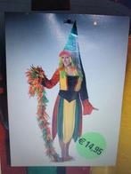 Carnaval: prinses,  hofdame, Ophalen of Verzenden, Nieuw, Meisje