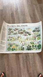 Ijslands flora, Boeken, Ophalen of Verzenden, Duitsland, 1800 tot 2000, Landkaart