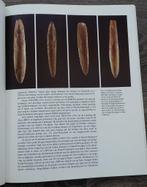 Jaar1990 Boek Steentijd Artefacten Neolithicum Drents Museum, Antiek en Kunst, Ophalen of Verzenden