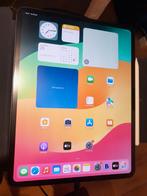 Ipad Pro 13 inch 2024 256GB incl PencilPro, Computers en Software, Apple iPads, Ophalen, 13 inch of meer, Apple iPad, Zwart